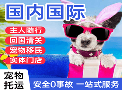 无锡机场空运国际宠物托运 【国